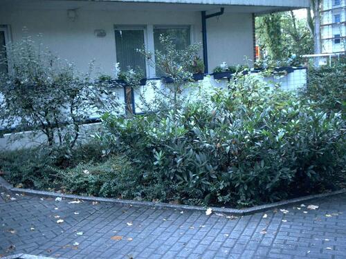 Foto - 5 Zimmer Erdgeschoßwohnung zum Kaufen in Gelsenkirchen