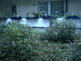 Foto - 5 Zimmer Erdgeschoßwohnung in Gelsenkirchen