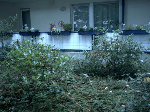 Foto - 5 Zimmer Erdgeschoßwohnung in Gelsenkirchen