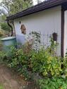 Foto - Grundstück in Ilmenau zur Miete