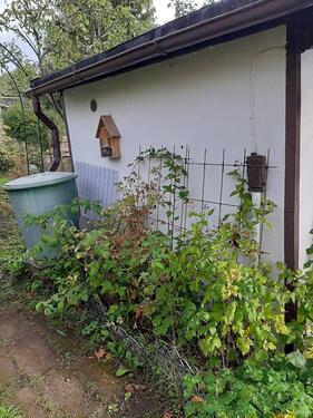 Foto - Grundstück in Ilmenau zur Miete