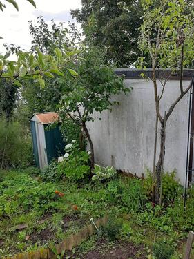 Foto - 