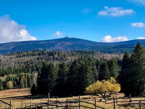 Foto - sonnige und gemütliche Eigentumswohnung