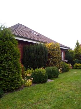 Foto - 5 Zimmer andere in Upgant-Schott