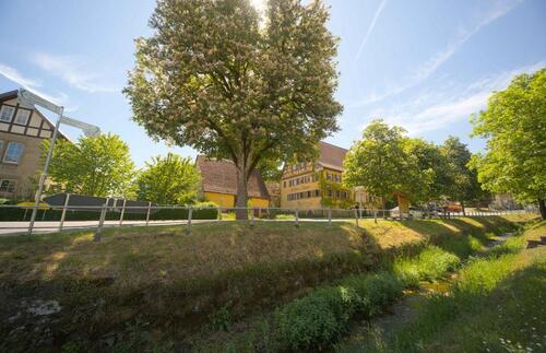 Foto - Viel Platz für große Vorhaben - historisches Gasthaus