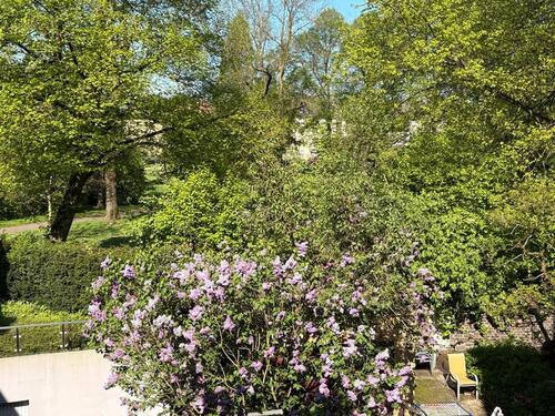 Foto - 2 Zimmer Dachgeschoßwohnung zur Miete in Witten