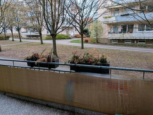 Foto - 2 Zimmer Hochparterre in Dresden