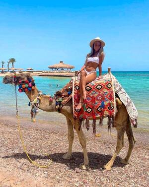 Foto - andere zur Miete in München