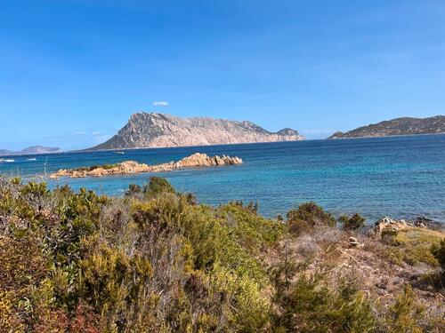 Foto - Ferienhaus Solemare in Porto Ottiolu, Sardinien, Nahe San Teodoro