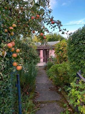 Foto - Kleingarten - 3.700,00 EUR Kaltmiete, ca.  0,00 m²