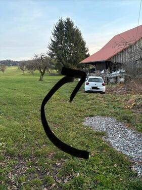 Foto - andere in Fronreute