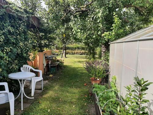 Foto - Grundstück in Papendorf