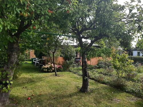 Foto - Grundstück in Papendorf zur Miete