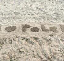 Lust auf Osterferien an der polnischen Ostsee ? - Oer-Erkenschwick