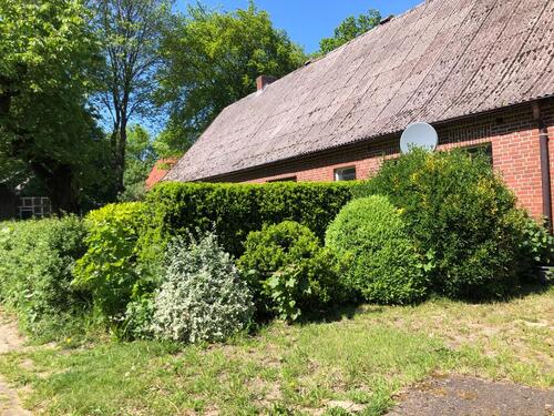 Foto - 4 Zimmer Bauernhaus, Landhaus zum Kaufen in Oldendorf