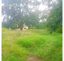 Lagerplatz in Staaken - 10,00 EUR Kaltmiete, ca.  0,00 m² in Berlin (PLZ: 13591) Spandau