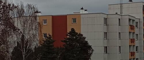 Foto - Schöne 3 Zimmer Wohnung, Hildesheim Galgenberg