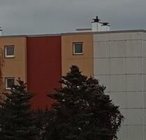 Schöne 3 Zimmer Wohnung, Hildesheim Galgenberg Schöne 3 Zimmer Wohnung, Hildesheim Galgenberg