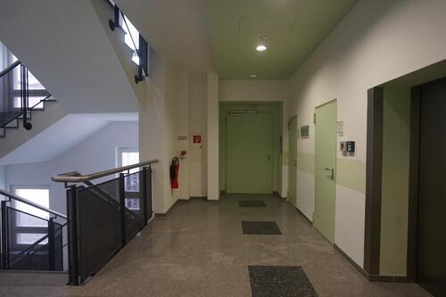 Foto - 