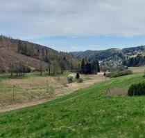 Teichgrundstück - 5.000,00 EUR Kaltmiete, ca.  0,00 m² in Sonneberg (PLZ: 96515)