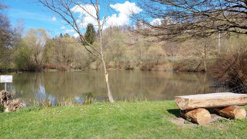 Foto - Grundstück zur Miete in Sonneberg