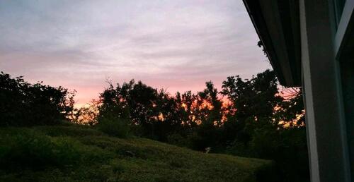 Foto - 2 Zimmer Etagenwohnung zur Miete in Ballenstedt