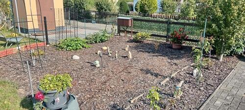 Foto - Grundst&uuml;ck in Senftenberg