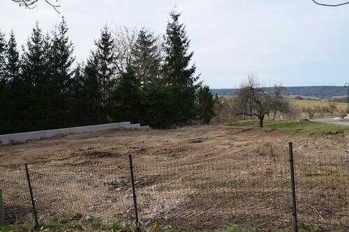 Foto - 4 Zimmer Einfamilienhaus in Neustadt an der Orla
