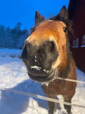 Foto - andere in Bebra zur Miete