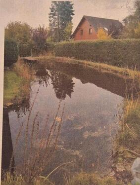 Foto - Einfamilienhaus in Panketal zum Kaufen