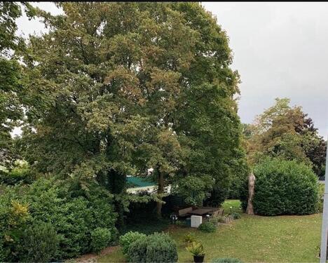 Foto - Zentrale, ruhige ETW mit Loggia und Stellplatz ohne Markler