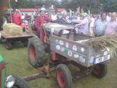 Foto - andere in Anklam zur Miete