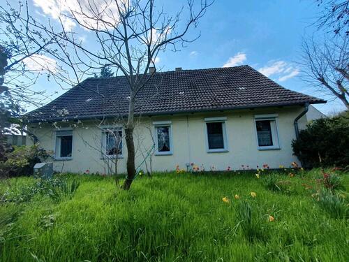 Foto - Einfamilienhaus in ruhiger Lage