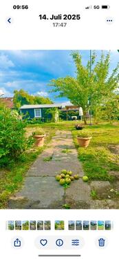 Foto - Grundst&uuml;ck zur Miete in Braunschweig