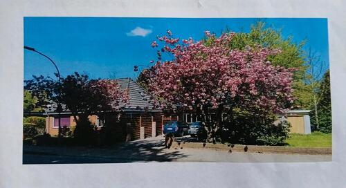 Foto - Einfamilienhaus in Leck