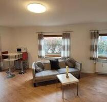 Schöne 2-Zimmer Wohnung vollmöbliert mit EBK und Terrasse - Frickenhausen