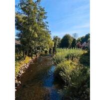 Ferienwohnung Waldoase 4 Pers.2 Hunde Balkon & Terrasse - Schleiden