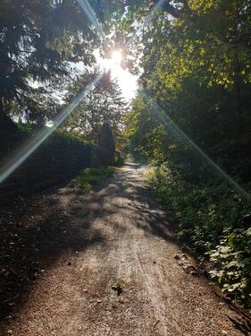 Foto - 3 Zimmer Etagenwohnung zum Kaufen in Bottrop
