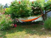 Foto - Urlaub am Balaton - 25,00 EUR Kaltmiete,