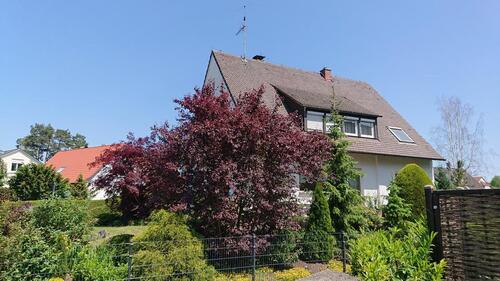 Foto - 6.5 Zimmer Einfamilienhaus in Nürnberg