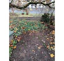 Gartengrundstück in Alsdorf ! - 3.300,00 EUR Kaltmiete, ca.  0,00 m² in Betzdorf (PLZ: 57518)