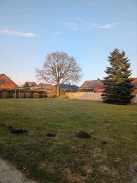 Foto - 2,5 Zimmerwohnung, EG, Wanderup