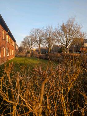 Foto - 2.5 Zimmer Erdgeschoßwohnung zur Miete in Wanderup