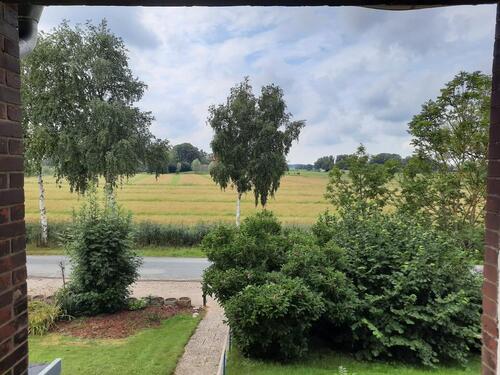 Foto - Doppelhaushälfte in Drochtersen zur Miete