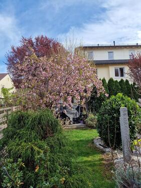 Foto - Einfamilienhaus in Germering