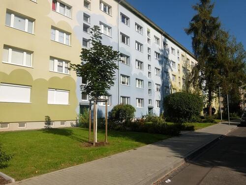 Foto - 2 Zimmer Etagenwohnung zur Miete in Döbeln