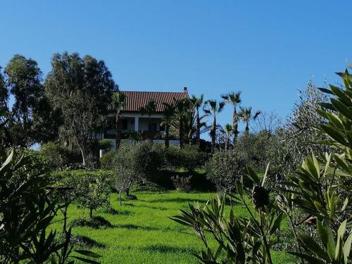 Foto - andere in Möckern