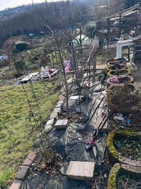 Foto - Grundst&uuml;ck in Remscheid zur Miete