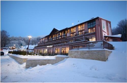 Foto - Einfamilienhaus zum Kaufen in Schöfweg