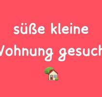 süße, kleine Wohnung mit oder ohne WBS - Trier Feyen-Weismark